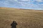 Teren intravilan 10000 mp, Piatra Neamt - 3