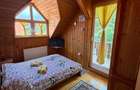 Pensiune Trei Brazi Predeal - 24