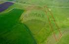 5 hectare teren agricol- pășune, cu front la șosea, zona Sântana - 5