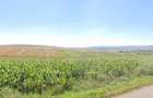 Teren extravilan in Rediu - Aiton, 4300 mp, la 150 m distanta de intravilan