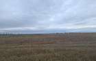 Oază de Natură și Potențial: Teren de 48.100 mp lângă Delta din Carpați - 13