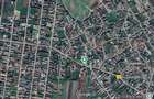 Spatiu comercial si Vila P+1 de vanzare in Comuna Cosereni, jud.Ialomita, 50 km - 16