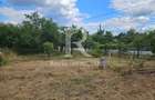 Casa cu teren generos | Spinus | Bihor - 9