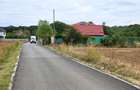 The Forest Collection -LOT 500mp- Strada asfaltata | Padurea Snagov -Ciofliceni - 7