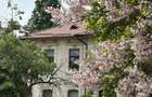 Vila renovata integral Gradina Icoanei - 1