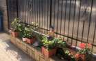 Casa 4 camere - Eforie Nord - 89.900 euro (Cod E2+E7) - 19
