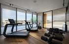 The american dream | zona Ambasadei Americii