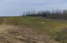 Teren intravilan de vânzare 6050 mp – Leșile - 2