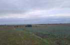 Oază de Natură și Potențial: Teren de 48.100 mp lângă Delta din Carpați - 6