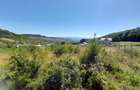 TEREN 990MP,VALEA JELNII - 3
