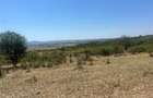 RECO Teren extravilan Holod 27400 mp - 5
