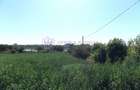 TUZLA - Teren intravilan 1000 mp, langa lacul Techirghiol! - 10