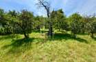 Casă de vânzare-teren 2.300 mp| Ocna Sibiului - 29