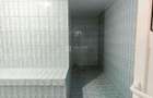 Copou, proprietate spatioasa de inchiriat, D+P+E, SAUNA - 7
