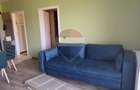 Apartament de inchiriat 40 mp Beta Residence Chinteni - 3