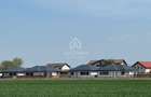 Vanzare teren 7.000 mp – Buftea, zona Tămași | lângă pădure - 6