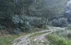 Teren intravilan de vanzare in padure Cisnadioara - 3