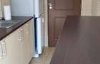 APARTAMENT 2 CAMERE PIATA ROMANA LINGA METROU - 45