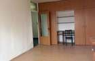 garsoniera /Mall Vitan / Zizin - 3