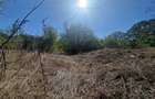 PADURE VALU LUI TRAIAN / zona popas Forest M / 2 loturi x 564 mp - 2