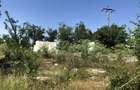 Vand teren agricol in Teleorman-Radoiesti/Cetate-Comision 0! Proprietar direct! - 4