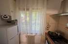 Casa de cultura , apartament 2 camere, parter, mobilat, utilat! - 5