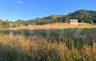 Teren intravilan de 10 ari cu vedere la lac, Colibița - 3