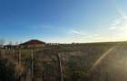 RECO Teren intravilan 1025mp În Paleu - 2