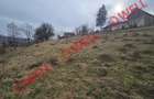 Teren extravilan de vânzare în Sărămaș, pe punctul de numit ,,PARAIE,, - 5