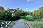 Hotel 20 camere Delta Dunarii 50 m deschidere teren 6000 mp acces auto - 56