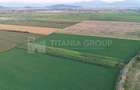 Teren extravilan, 8700 mp, pretabil agricultură sau investiție - Bod - 3
