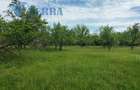Casă cu teren de 2.300 mp și livadă în Rădești – Stâlpeni, Argeș - 6
