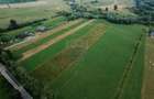 Teren 10,000mp Nemtisor / DJ 155C - 22
