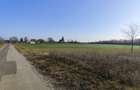 Gradistea/Zona padure - 5