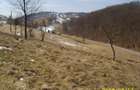 Teren intravilan Rosia, 12 000 mp, cu proiect aprobat. Comision 0. - 12
