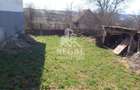 Două case de vânzare – Cerisor – teren generos 6996 mp - 9