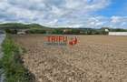 Teren de vanzare Ighiu ! - 6