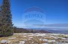 Teren  extravilan - 10
