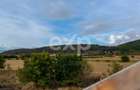 Casă în stil chalet, la baza Dealului Lempeș 175 mp utili/teren 525 mp - 7