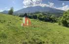 Teren cu priveliște spectaculoasă în Bran – Sohodol
