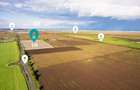 Teren de 5 Hectare în Arad - 1