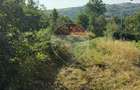 Teren constructie casa in Cernesti, pe deal - 3