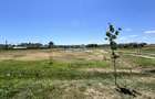 Teren pentru HALA 6.600 mp – POD Năvodari, Ecluza – Rompetrol PORT Midia - 7