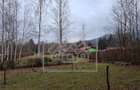 Teren intravilan pe Valea Avrigului, 2000 mp, certificat urbanism - 3