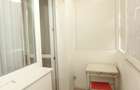 Închiriere apartament 3 camere, Dinicu Golescu, Kaufland - Metrou Basarab - 8