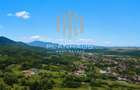 Teren Tăutii de Sus , 9 398 mp ,parcela ideala ansamblu case/dezvoltare turisti - 4