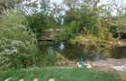 Casă cu ieșire la Lacul Snagov | Piscină și ponton | Siliștea Snagovul