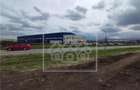 Teren extravilan in Sura Mica, 9300 mp - Zona industriala - 6