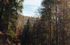 Teren intravilan de vanzare in Arieseni, jud. Alba - 2
