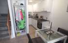 Apartament 2 camere Calea Calarasilor cu gradina - 12